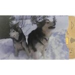 Prot�ge - cb montagne husky