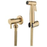 Pulv�risateur de toilettes pour bidet et de toilettes en acier inoxydable, kit de pulv�risateur de bidet, ...