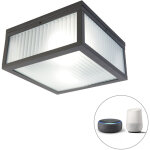 Charlois - led dimmable plafonnier variateur inclus - 2 lumière - l 24 cm - noir - moderne - éclairage ... Charlois - led dimmable plafonnier variateur inclus - 2 lumière - l 24 cm - noir - moderne - éclairage ...