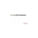 Ram - cheville speed t�te plate avec clou - vis tf, 6mm x 40mm, bo�te de 100 76164