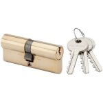 Cylindre europen double entre 35x55mm laiton sur ptt et edf ronis 071011pd