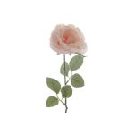 Rose à tige unique rose avec de la neige Rose à tige unique rose avec de la neige