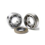 Roulement + joint spi vilebrequin pour tron�onneuse stihl ms461