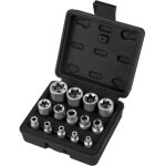 Sabir coffret douille torx femelle 1 / 4  3 / 8  1 / 2 , douille de profil�s e torx e4, e5, e6, e7, e8, ...