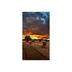 Samsung - ecran ordinateur - moniteur pc videowall lh46vmbubgbxen lfd 46'