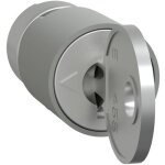 Schneider electric - lvs07941 serrure à barillet 1 pc(s) Schneider electric - lvs07941 serrure à barillet 1 pc(s)