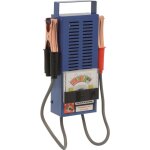 Sodise - contr�leur de batterie de 6 � 12 volts (dc)max 100ah - s04050