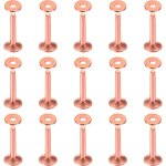 Lot de 50 rivets et fraises en cuivre de 10 × 3, 3 × 19 mm pour ceintures, portefeuilles, colliers, produits ... Lot de 50 rivets et fraises en cuivre de 10 × 3, 3 × 19 mm pour ceintures, portefeuilles, colliers, produits ...