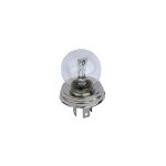 Ampoule ce 12v - 40 / 45w