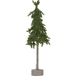 Star trading - homard d'arbre