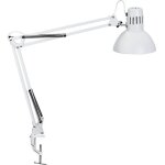 Study 8230502 spot � pince e27 blanc - maul