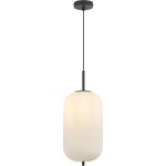 Braytron - suspension cylindre verre opale 23w ip20 e27 diam 200mm Braytron - suspension cylindre verre opale 23w ip20 e27 diam 200mm