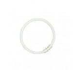 Sylvania 0000521 ampoule tube fluorescent t5 circline plus 22w / 840