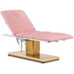 Physa - table cosmétique - 300 w - 150 kg - rose / or Physa - table cosmétique - 300 w - 150 kg - rose / or