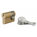 Cylindre profile hg 30 x 10 mm 3 cl�s laiton panneton orientable - thirard