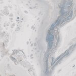 Tinker - carrelage aspect marbre marbella gris poli 80x80 cm