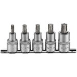 Torx taille 40 - 45 - 50 - 55 - 60 sur rack jeu de 5 embouts