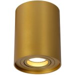 Tube spot plafond - or mat. - 9, 6