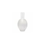 Tulipe en verre pour lampe � p�trole botero mate 21x11 cm avec une ouverture de 5, 5 cm