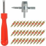 Ulisem - 32pcs demonte valve pneu outil - valve core remover pour voiture remplacement, valve core 30pcs, ...