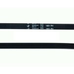 Courroie machine à laver bauknecht whirlpool otsein fagor yy57 x 2351 Courroie machine à laver bauknecht whirlpool otsein fagor yy57 x 2351