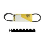 Courroie poly - v 1975 h7 - 1975h7 - 4012074071998 - universeel