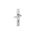 Vachette - poignées de porte kasa avec plaque en argent, entraxe 195 mm, clé l Vachette - poignées de porte kasa avec plaque en argent, entraxe 195 mm, clé l