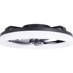 Ventilateur de plafond 20 w (� x h) 500 mm x 165 mm noir minuteur, avec t�l�commande, avec �clairage, ...