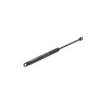Verin porte pour micro - onde indesit
