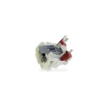 Verrou de porte, scurit pour lave - vaisselle smeg 697690205