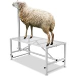 Support a betail pour chevres et moutons, 47 x 23 pouces, cadre en metal durable pour la traite et la ... Support a betail pour chevres et moutons, 47 x 23 pouces, cadre en metal durable pour la traite et la ...