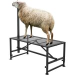 Support de manipulation du betail, 119, 4 x 58, 4 cm, cadre en metal durable pour moutons et chevres, ...