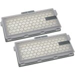Vhbw 2x filtre compatible avec miele divdni, delphi, crystal, green magic, comfort aspirateur - filtre ...