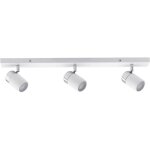 Zyli 66713 plafonnier de salle de bain 30 w blanc, chrome s279631 - paulmann