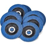 10 disques abrasifs � lamelles � 125 mm x 22. 2 mm grain 60 disques � lamelles disques � meuler pour ...