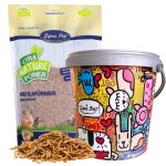 Vers de farine lyra pet de 10 litres dans un seau design