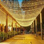 100m 1000 led guirlande lumineuse carnaval mariage ext�rieur jardin int�rieur �clairage(blanc chaud)