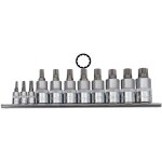 10720 douilles tournevis pour xzn, taille 4 - 16, 11 - pi�ces - famex