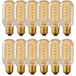12 ampoules t45 edison 40w lampe tungst�ne r�tro spirale 220v