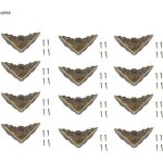 12 pi�ces bronze coin protecteur vintage meubles d�coratifs coin pour bo�tier en bois bijoux coffre bo�te ...