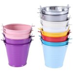 12 pi�ces jardini�res mini seaux en m�tal pour fleurs d�coration de table (couleur al�atoire)