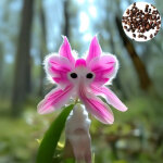 150 graines d'orchid�e chat rare, vivaces, faciles � planter, id�ales pour les jardins, balcons et pots ...