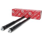 2 amortisseurs arrire suzuki sx4 (ey, gy) fiat sedici