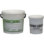 Salone - 20 kg de surfaces en ra sine de peinture liquide mastic a gaine liquide ra sineuse grise Salone - 20 kg de surfaces en ra sine de peinture liquide mastic a gaine liquide ra sineuse grise