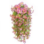 4 bouquets de volubilis artificiels suspendus pour l'ext�rieur - volutes de volubilis en soie r�alistes ...