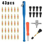 43pcs kit outil de tire repair, 30pcs valve core, 10pcs voiture valve de pneu, pour kit outil de installation ...