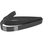 4pk985 ceinture poly - nervillée denckermann 4pk985 ceinture poly - nervillée denckermann