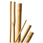 5 tuteurs naturels en bambou de qualite - h120 x 10 - 12mm cis