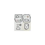 Briggs&stratton - 590777 - pochette de joints pour moteur briggs et stratton