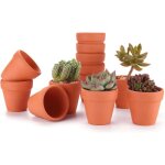 6. 5cm 12pcs pot de succulent en terre pour cactus fleurs plantes, terracotta pot argile pour cactus ...